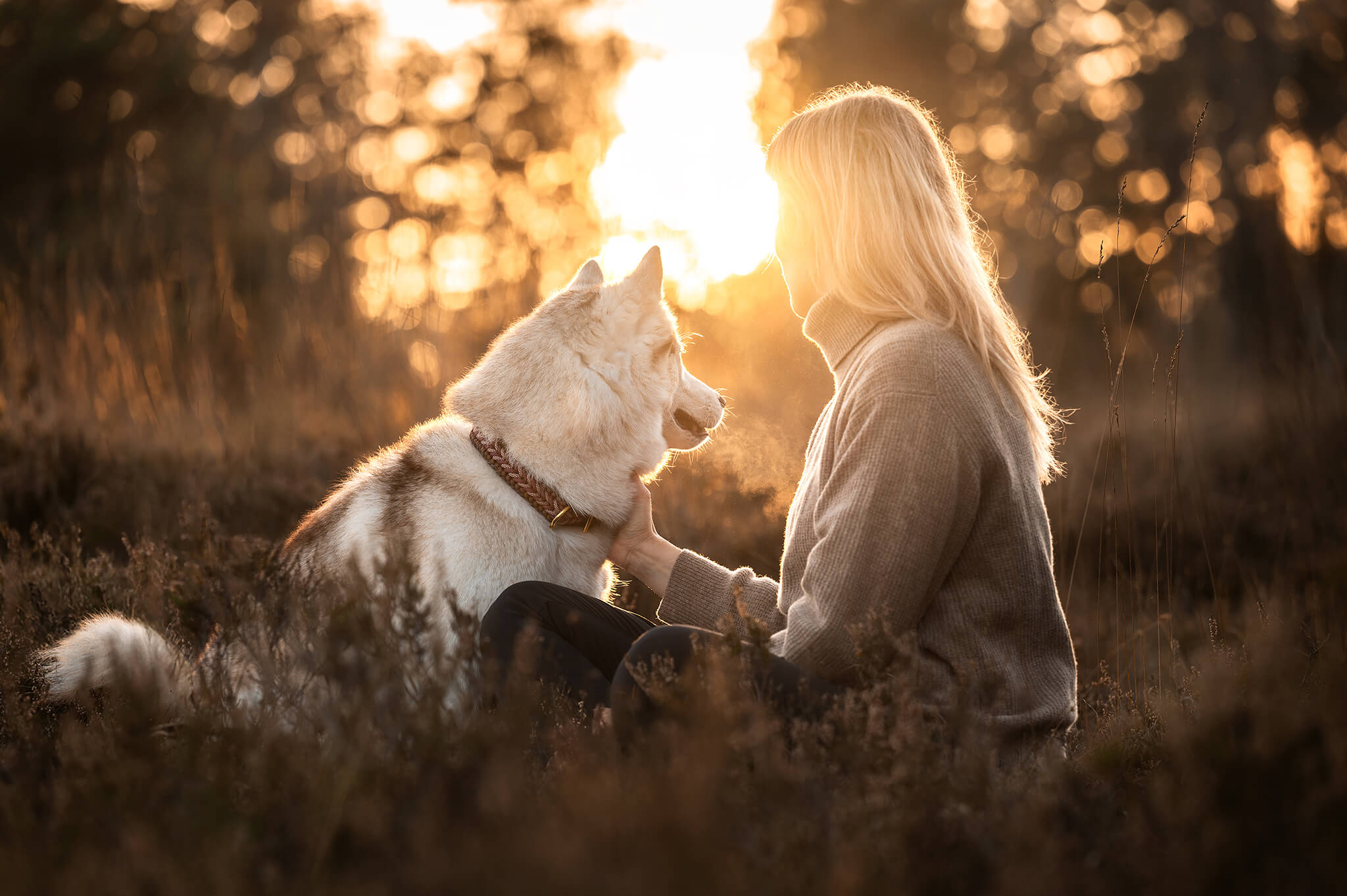 Hundefotografie Kißlegg