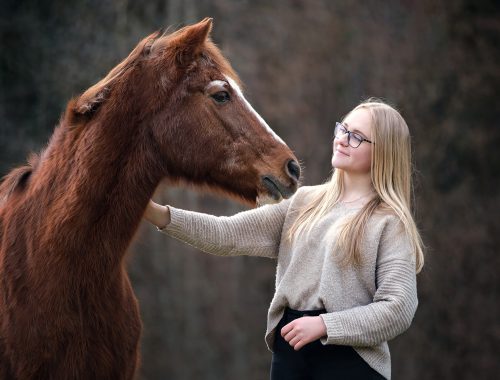 Pferdefotoshooting Biberach an der Riß